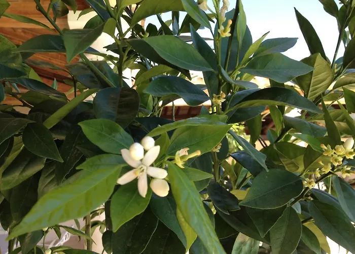 La Bastide D'andrea Feriehus *