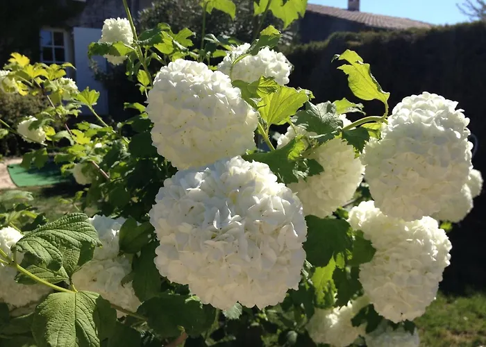 La Bastide D'andrea Feriehus